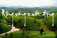 RỒNG VÀNG XUẤT ĐỘNG