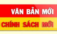 CHÍNH SÁCH MỚI